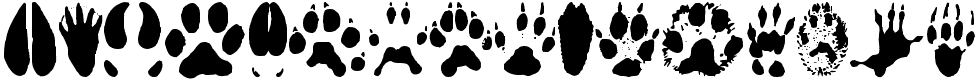Animal Tracks - 65 Kb - by Andrew D. Taylor Animal Tracks - 65 Kb - by Andrew D. Taylor