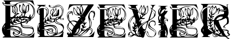 Elzevier - 128 Kb - by David Rakowski Elzevier - 128 Kb - by David Rakowski